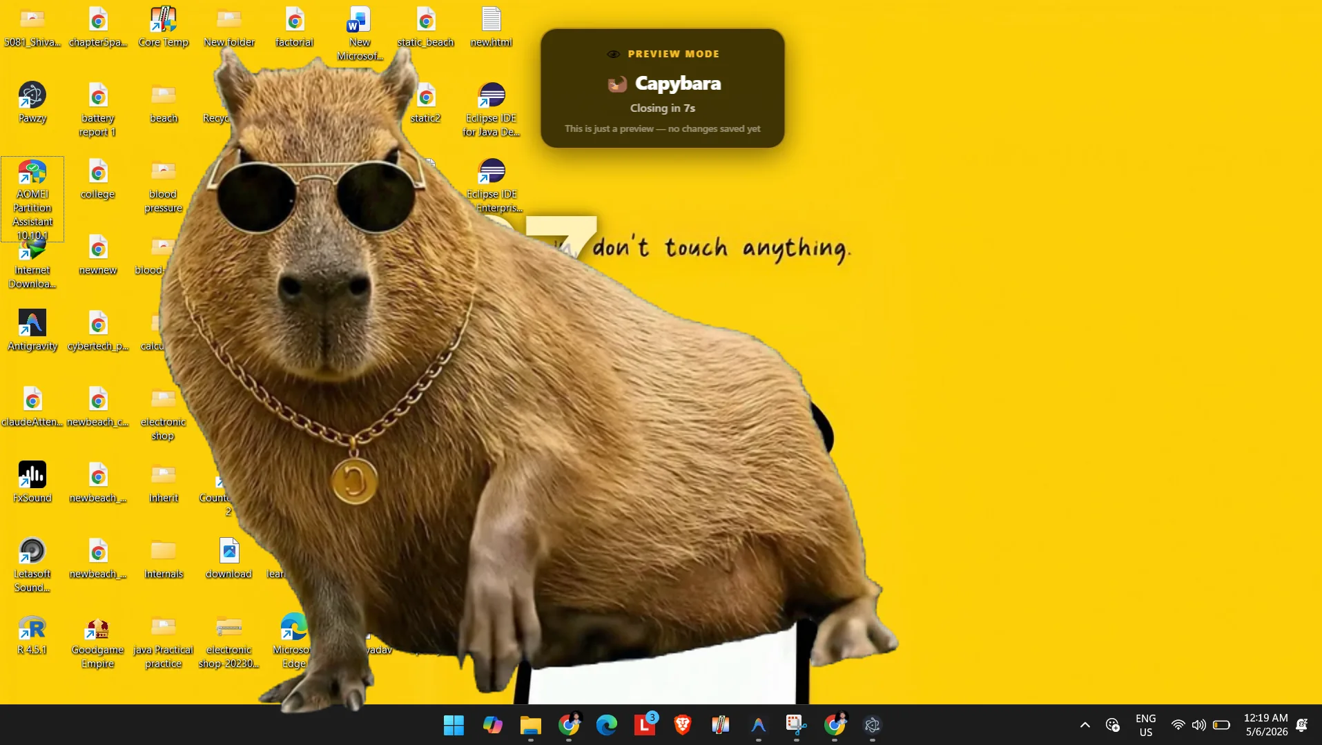 Capybara Screen Blocker Preview