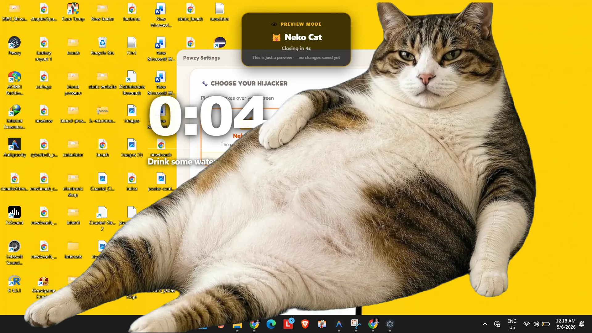 Cat Screen Blocker Preview